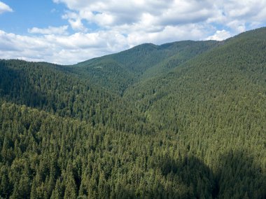 Yazın Ukrayna Karpatları 'nın yeşil dağları. Güneşli bir gün, nadir bulutlar. Hava aracı görünümü.