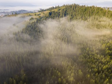 Ukrayna Karpatya dağlarında sabah sisi. Hava aracı görünümü.