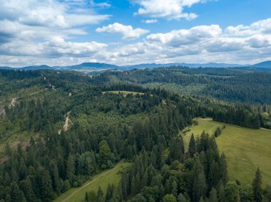 Yazın Ukrayna Karpatları 'nın yeşil dağları. Yamaçlarda kozalaklı ağaçlar. Hava aracı görünümü.