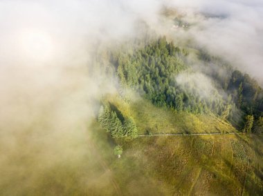 Ukrayna Karpatları 'nda sisli bir yaz sabahı. Hava aracı görünümü.