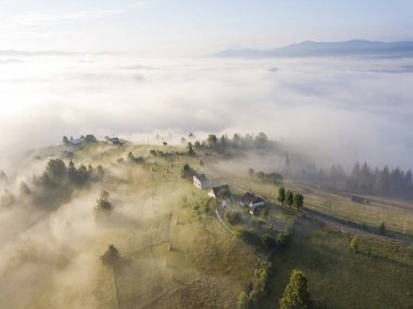 Sis dağ ormanını kaplıyor. Güneşin yükselen ışınları sisi delip geçer. Hava aracı görünümü.