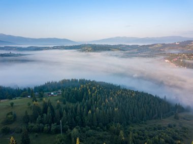 Ukrayna Karpatya dağlarında sabah sisi. Hava aracı görünümü.