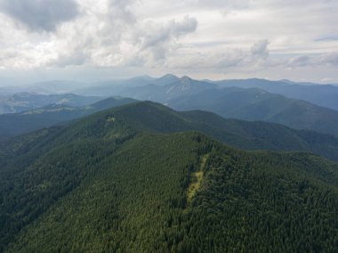 Yazın Ukrayna Karpatları 'nın yeşil dağları. Hava aracı görünümü.