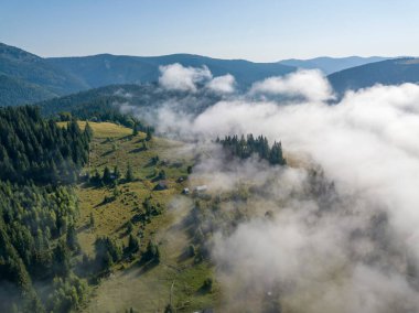 Ukrayna Karpatları 'nda sabah sisi. Hava aracı görünümü.