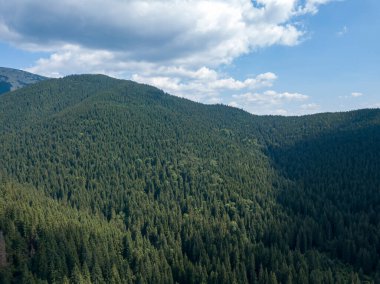 Yazın Ukrayna Karpatları 'nın yeşil dağları. Güneşli bir gün, nadir bulutlar. Hava aracı görünümü.