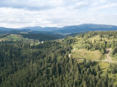 Yazın Ukrayna Karpatları 'nın yeşil dağları. Yamaçlarda kozalaklı ağaçlar. Hava aracı görünümü.