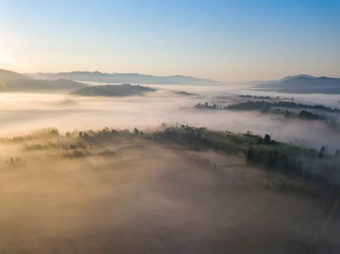 Ukrayna Karpatları 'nda sabah sisi. Hava aracı görünümü.