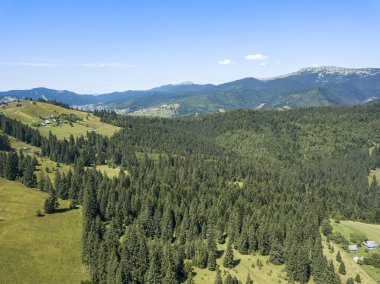 Yazın Ukrayna Karpatları 'nın yeşil dağları. Güneşli açık bir gün. Hava aracı görünümü.
