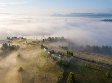 Sis dağ ormanını kaplıyor. Güneşin yükselen ışınları sisi delip geçer. Hava aracı görünümü.