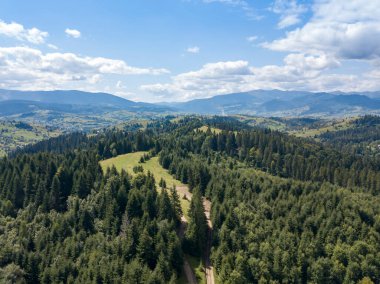 Yazın Ukrayna Karpatları 'nın yeşil dağları. Yamaçlarda kozalaklı ağaçlar. Hava aracı görünümü.