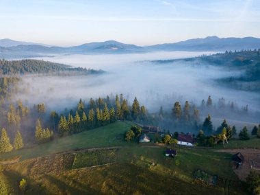 Ukrayna Karpatları 'nda sabah sisi. Hava aracı görünümü.