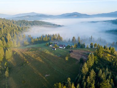 Ukrayna Karpatları 'nda sabah sisi. Hava aracı görünümü.