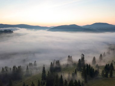 Ukrayna Karpatları 'nda sabah sisi. Hava aracı görünümü.