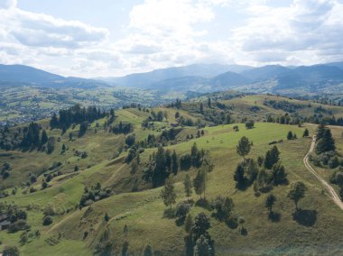 Yazın Ukrayna Karpatları 'nın yeşil dağları. Yamaçlarda kozalaklı ağaçlar. Hava aracı görünümü.