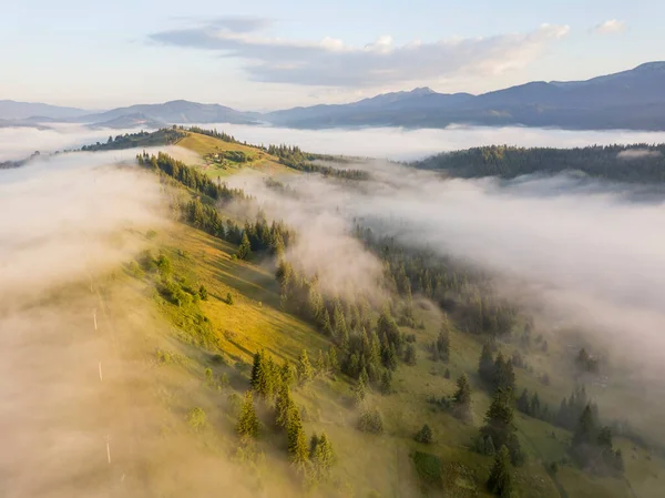 Nevoeiro Envolve Floresta Montanhosa Raios Sol Nascente Rompem Nevoeiro Vista — Fotografia de Stock