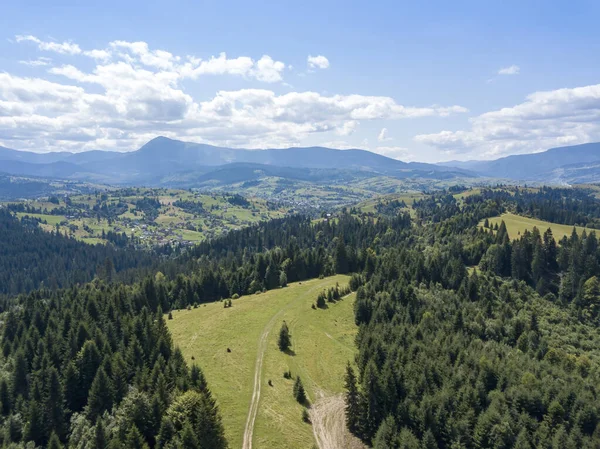 Zelené Hory Ukrajinských Karpat Létě Jehličnaté Stromy Svazích Zobrazení Leteckých — Stock fotografie