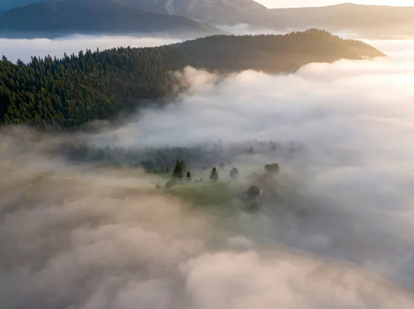 Sonnenaufgang Über Dem Nebel Den Ukrainischen Karpaten Drohnenblick Aus Der — Stockfoto