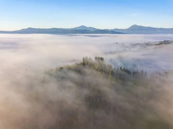 Volo Sopra Nebbia Nei Carpazi Ucraini Estate Uno Spesso Strato — Foto Stock