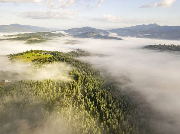 Nebel Hüllt Den Bergwald Ein Die Strahlen Der Aufgehenden Sonne lizenzfreie Stockfotos