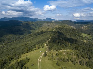 Yazın Ukrayna Karpatları 'nın yeşil dağları. Yamaçlarda kozalaklı ağaçlar. Hava aracı görünümü.