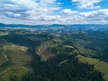 Yazın Ukrayna Karpatları 'nın yeşil dağları. Yamaçlarda kozalaklı ağaçlar. Hava aracı görünümü.