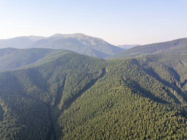 Yazın Ukrayna Karpatları 'nın yeşil dağları. Güneşli bir gün, nadir bulutlar. Hava aracı görünümü.