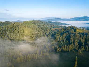 Sis dağ ormanını kaplıyor. Güneşin yükselen ışınları sisi delip geçer. Hava aracı görünümü.
