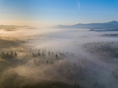 Ukrayna Karpatları 'nda sabah sisi. Hava aracı görünümü.