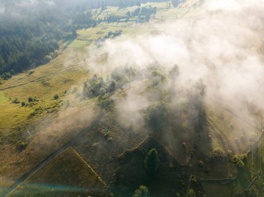 Sabah sisinde Ukrayna Karpatları 'nın yeşil dağları. Hava aracı görünümü.