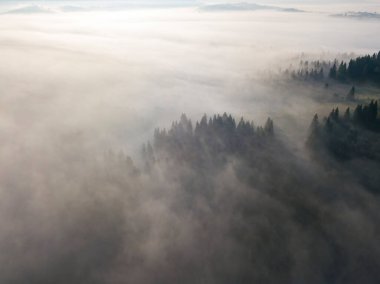 Ukrayna Karpatya dağlarında sabah sisi. Hava aracı görünümü.