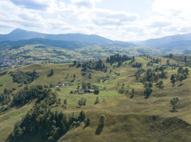Yazın Ukrayna Karpatları 'nın yeşil dağları. Yamaçlarda kozalaklı ağaçlar. Hava aracı görünümü.