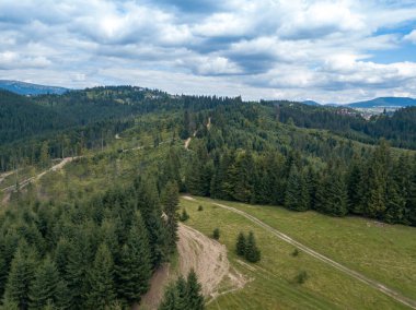 Yazın Ukrayna Karpatları 'nın yeşil dağları. Yamaçlarda kozalaklı ağaçlar. Hava aracı görünümü.