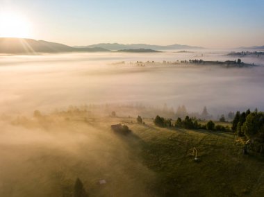 Ukrayna Karpatları 'nda sabah sisi. Hava aracı görünümü.