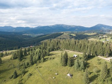 Yazın Ukrayna Karpatları 'nın yeşil dağları. Yamaçlarda kozalaklı ağaçlar. Hava aracı görünümü.