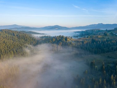 Ukrayna Karpatları 'nda sabah sisi. Hava aracı görünümü.