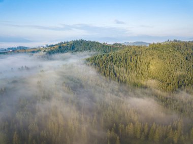 Sis dağ ormanını kaplıyor. Güneşin yükselen ışınları sisi delip geçer. Hava aracı görünümü.
