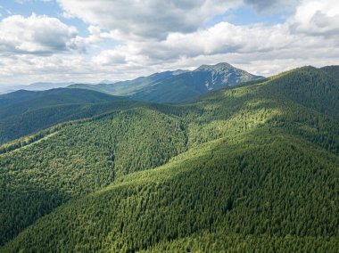 Güneşli havada Ukrayna Karpatlarının yüksek dağları. Hava aracı görünümü.