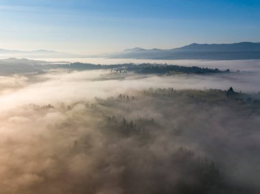 Ukrayna Karpatya dağlarında sabah sisi. Hava aracı görünümü.