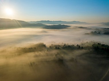 Ukrayna Karpatları 'nda sabah sisi. Hava aracı görünümü.