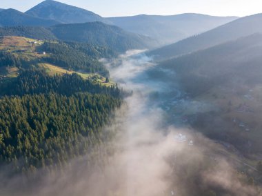 Ukrayna Karpatları 'nda sabah sisi. Hava aracı görünümü.