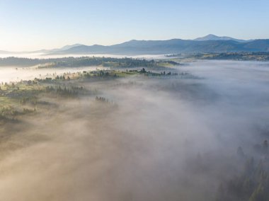 Ukrayna Karpatları 'nda sabah sisi. Hava aracı görünümü.