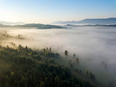 Ukrayna Karpatya dağlarında sabah sisi. Hava aracı görünümü.