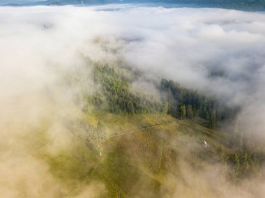 Ukrayna Karpatları 'nda sisli bir yaz sabahı. Hava aracı görünümü.