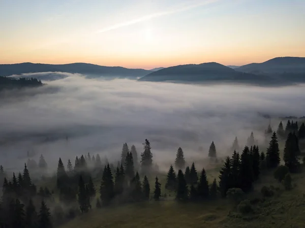 Východ Slunce Nad Mlhou Ukrajinských Karpat Zobrazení Leteckých Dronů — Stock fotografie