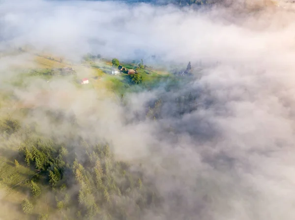 Fog Envelops Mountain Forest Rays Rising Sun Break Fog Aerial — Stock Photo, Image