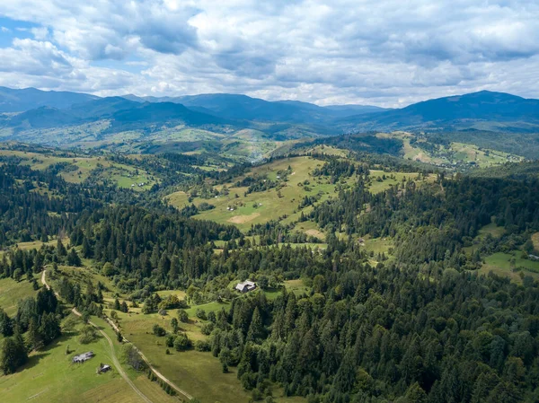 Grüne Berge Der Ukrainischen Karpaten Sommer Nadelbäume Den Hängen Drohnenblick — Stockfoto