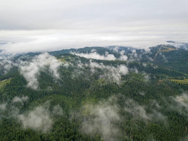 Grüne Hänge Der Ukrainischen Karpaten Sommer Bewölkter Morgen Tiefe Wolken — Stockfoto