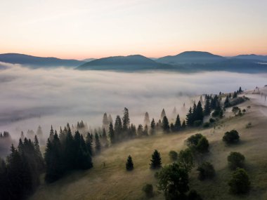 Ukrayna Karpatları 'nda sisin üstünde gün doğumu. Hava aracı görünümü.