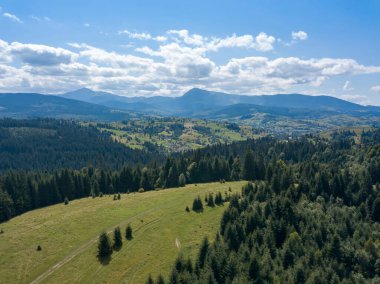 Yazın Ukrayna Karpatları 'nın yeşil dağları. Yamaçlarda kozalaklı ağaçlar. Hava aracı görünümü.