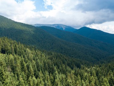 Yazın Ukrayna Karpatları 'nın yeşil dağları. Güneşli bir gün, nadir bulutlar. Hava aracı görünümü.